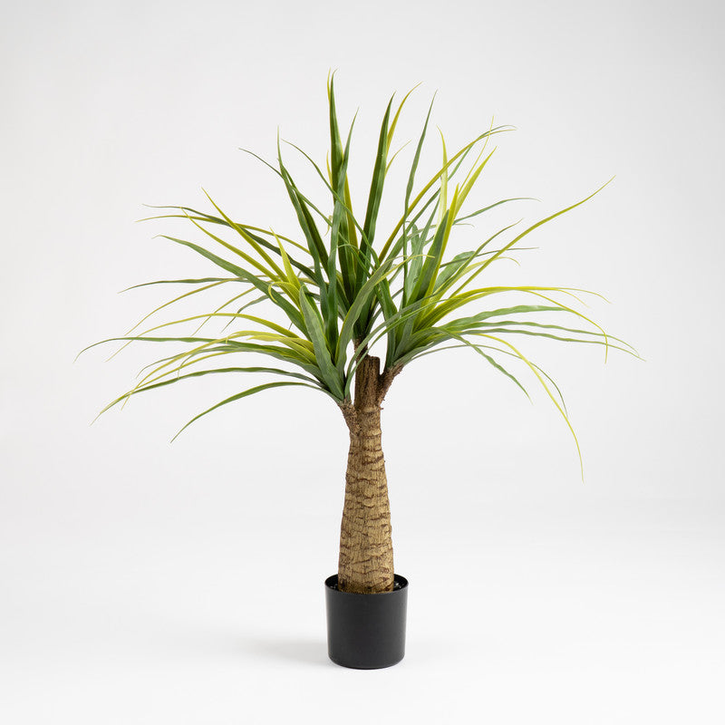 76cm Artificial Dracaena Plant